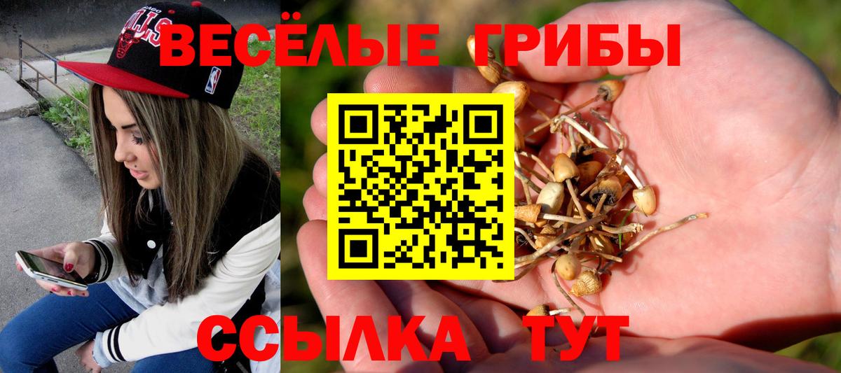 Рассказово  Галлюциногенные грибы Psilocybine cubensis  Вход с VPN 