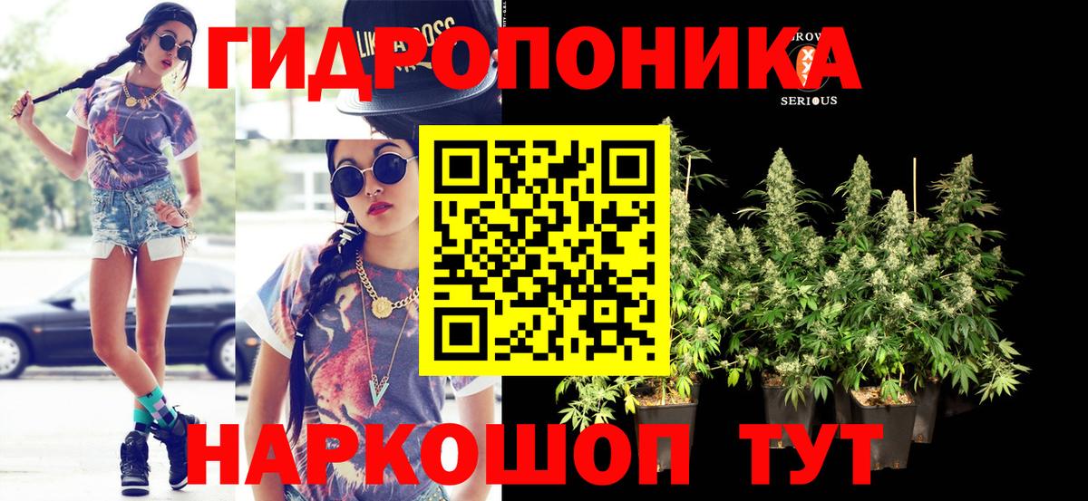 Бошки Шишки планчик Рассказово